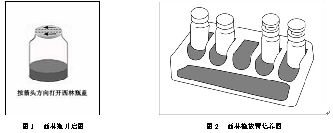 水楊素生化鑒定